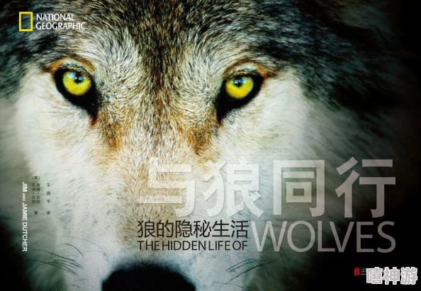 电车之狼的隐藏结局：传闻主角背后有不为人知的秘密，竟与真实事件息息相关！