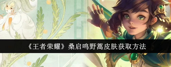 《王者荣耀》桑启鸣野蒿新皮肤:全面解析免费获取方法与攻略 《王者荣耀》桑启鸣野蒿新皮肤:全面解析免费获取方法与攻略