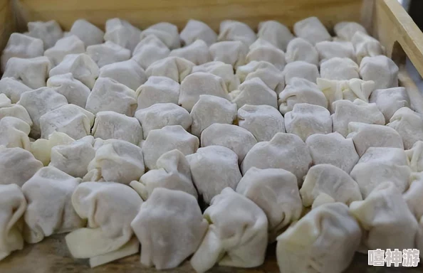 江教授要稳住肉馅小水饺视频,分享独特制作技巧与美味秘诀,让你轻松在家享受传统美食的乐趣 江教授要稳住肉馅小水饺视频,分享独特制作技巧与美味秘诀,让你轻松在家享受传统美食的乐趣
