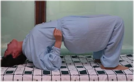 你可不可以把腰抬起来？这句话背后隐藏着怎样的健康知识与生活智慧，让我们一同来了解一下