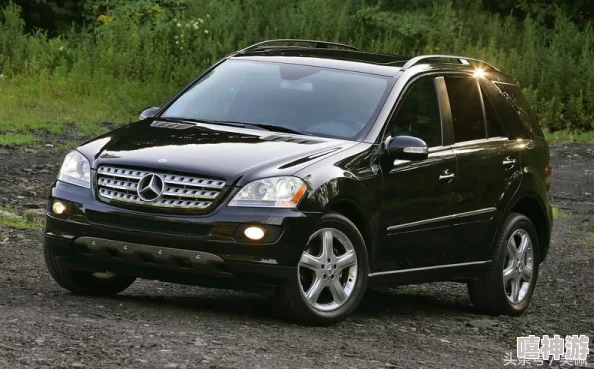 m圈的100个任务：全面解析每一个任务背后的意义与挑战，助你在m圈中更好地成长与发展