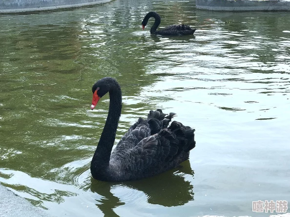 《我的世界》游戏:解锁装饰性建筑养殖场制作秘籍,打造既华丽又独特的梦幻动物乐园 《我的世界》游戏:解锁装饰性建筑养殖场制作秘籍,打造既华丽又独特的梦幻动物乐园