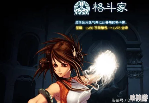 DNF游戏中，辅助职业C位选择：哪个角色更为出色？