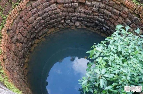 暗邪西部游戏配置要求详解及推荐配置方案解析