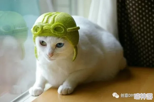 糖心柚子猫甘雨的情人节礼物:网友纷纷表示这份礼物太有创意,甜蜜又温馨,让人感受到浓浓的爱意! 糖心柚子猫甘雨的情人节礼物:网友纷纷表示这份礼物太有创意,甜蜜又温馨,让人感受到浓浓的爱意!