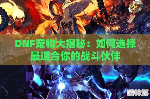 DNF今年宠物选择指南：如何挑选最适合你的属性搭配