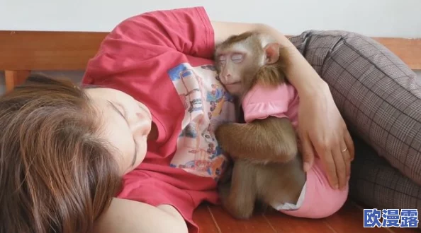 两人生猴子不盖被子的图片,展现了人与动物之间的奇妙互动与温馨瞬间,引发人们对生活方式的思考与讨论 两人生猴子不盖被子的图片,展现了人与动物之间的奇妙互动与温馨瞬间,引发人们对生活方式的思考与讨论