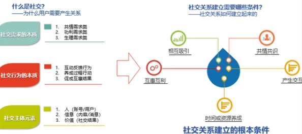 美女靠逼软件：探讨社交平台对人际关系的影响与用户心理的深层次需求分析