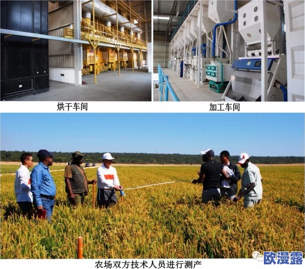 Zoom农场和Zoom牧场:全球首个虚拟农业展会即将上线,推动数字化农业新模式发展 Zoom农场和Zoom牧场:全球首个虚拟农业展会即将上线,推动数字化农业新模式发展