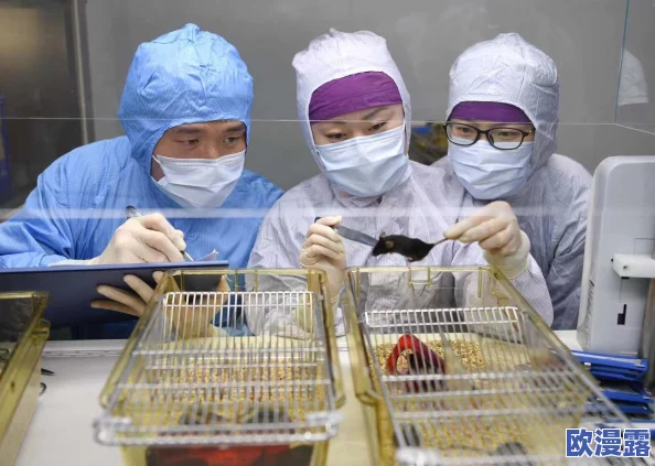 欧美人禽：网友热议文化差异与伦理观念，探讨人类与动物关系的复杂性和社会影响