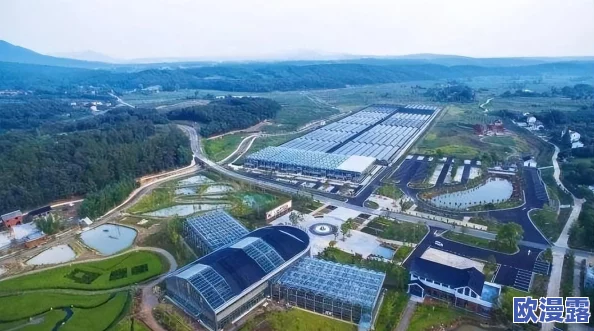 精产国品一二三产区高清9斤：推动农业现代化，助力乡村振兴，实现可持续发展新目标