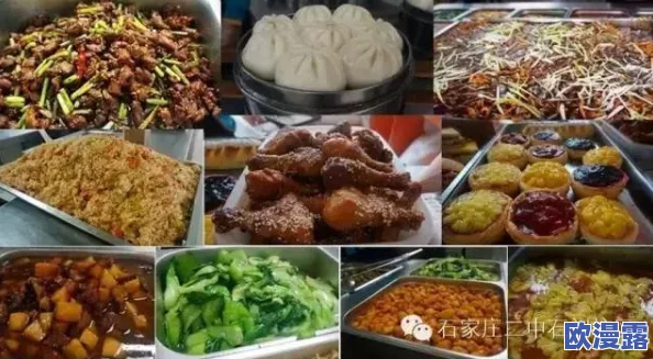 精品视频秘 麻豆入口：解密豆腐制作中的关键工艺与美味体验，以及与传统豆制品的比较分析