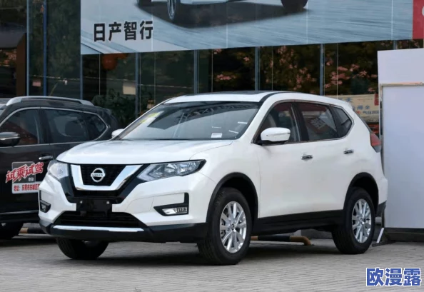 中文日产募无限码6区：网友热议这一新政策对消费者的影响与未来发展前景分析