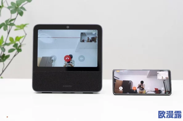 15款夜间禁用网站，了解这些网站的潜在危害与影响，保护你的网络安全和个人隐私