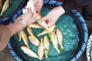 吕总的扣鱼鳃最简单回应引发热议，网友纷纷表示支持与质疑，认为其言论反映了社会对传统文化的不同理解