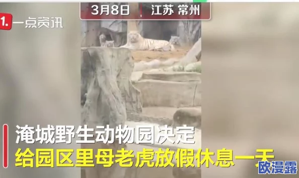 吕总的扣鱼鳃最简单回应引发热议，网友纷纷表示支持与质疑，认为其言论反映了社会对传统文化的不同理解