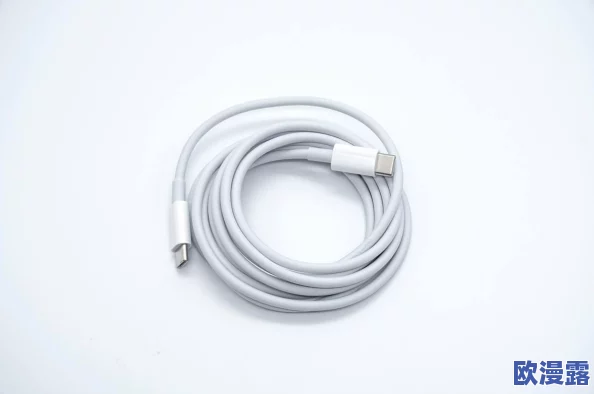 19岁MACBOOKPRO剧情介绍：一部关于青春成长与科技变迁的故事，呈现温暖与挑战交织的生活瞬间