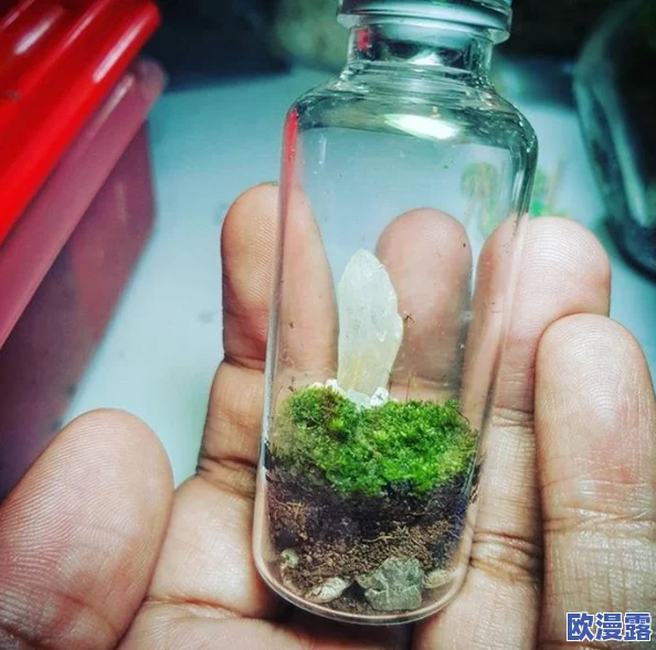 白丝喷水引发热议：网友纷纷表达看法，认为这一现象既是潮流文化的体现，也反映了社会对美的多元理解