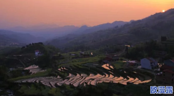 情侣插秧姿势参考绘画：掌握插秧技巧与美感，在创造浪漫农业主题中增添情趣与艺术表现