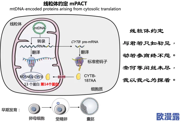 睡醒发现c1v1：解析这一现象背后的基因变异与应对策略，揭示其对健康的影响与未来研究方向