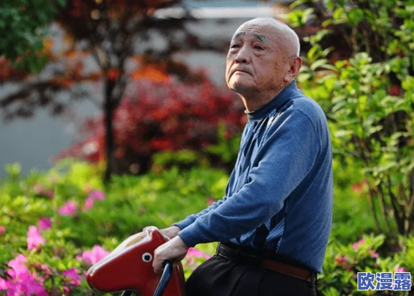 Chinese中年玩老头：当代社会对中年男性与老年人关系的深刻反思与探讨