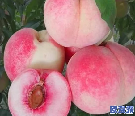 一区二区三区水蜜桃的甜美风味与种植奥秘全解析 一区二区三区水蜜桃的甜美风味与种植奥秘全解析