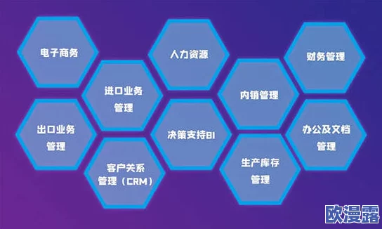 优质jyh系统助力企业数字化转型,提升管理效率与决策能力的全新解决方案发布 优质jyh系统助力企业数字化转型,提升管理效率与决策能力的全新解决方案发布