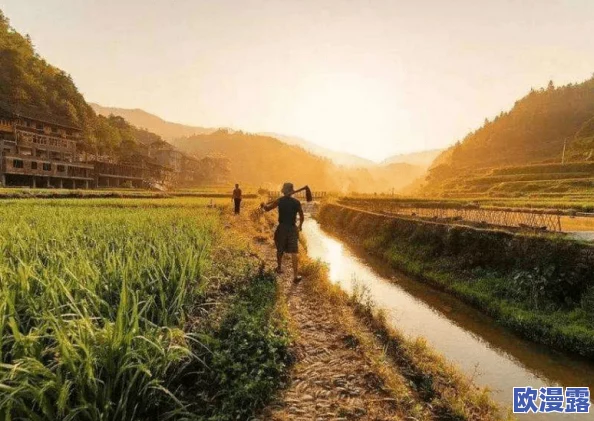 儿子耕种母亲的田地的寓意电影:传承与责任交织的人生旅程,感悟家庭与自然的深刻联系 儿子耕种母亲的田地的寓意电影:传承与责任交织的人生旅程,感悟家庭与自然的深刻联系