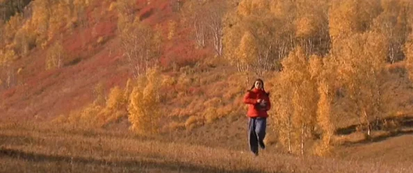 儿子耕种母亲的田地的寓意电影:传承与责任交织的人生旅程,感悟家庭与自然的深刻联系 儿子耕种母亲的田地的寓意电影:传承与责任交织的人生旅程,感悟家庭与自然的深刻联系