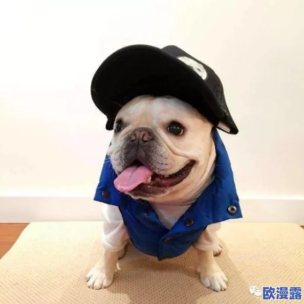 狩猎时刻游戏宠物获取攻略:详解宠物蛋的多种获得方法介绍 狩猎时刻游戏宠物获取攻略:详解宠物蛋的多种获得方法介绍