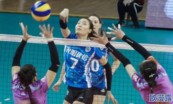 排球少年：青叶城西低配队新征程攻略，高效阵容搭配推荐指南