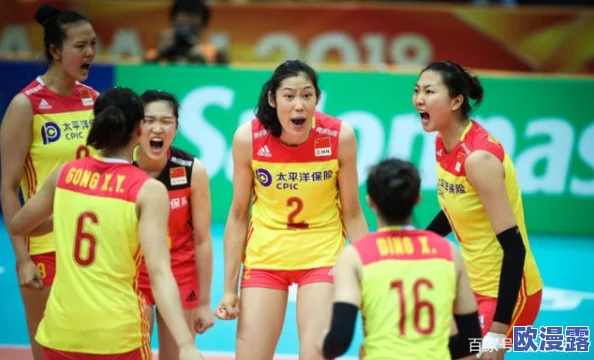 排球少年：青叶城西低配队新征程攻略，高效阵容搭配推荐指南