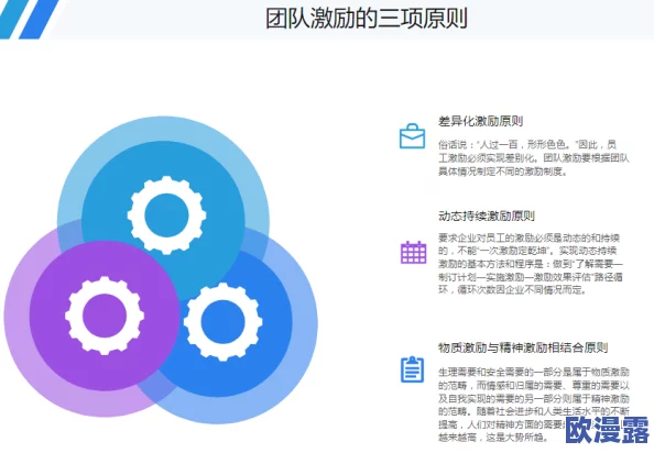 老大的BwBBwBBwBBw：新项目进展显著，团队协作提升效率，未来发展前景广阔