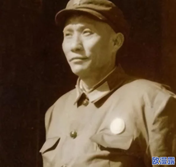 欧美人与禽zOz0交：探讨文化差异与人际关系的复杂性，如何影响现代社会中的互动方式和情感交流