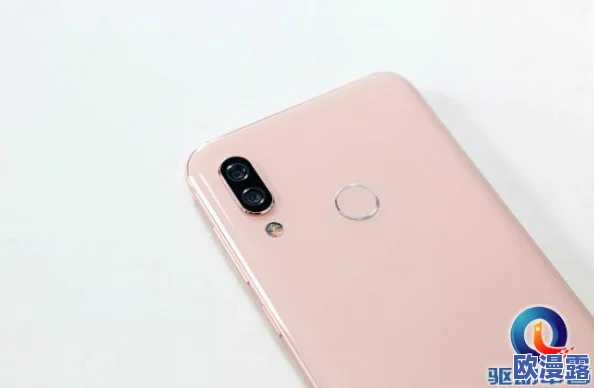 特大BBwBBWBBw另类：网友热议这一现象，认为其反映了社会对美的多元化认知与包容性的重要性