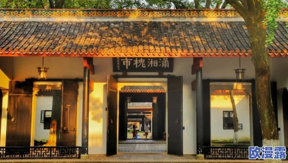 王者荣耀草木风华周年庆系列皮肤价格及购买攻略详解