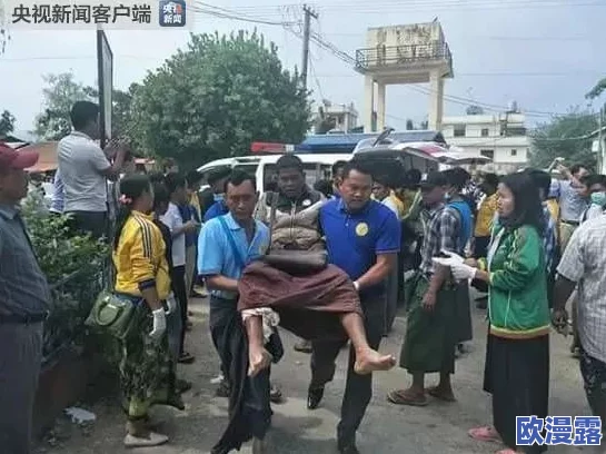 缅甸3分19秒砍断手断脚的事件引发广泛关注，揭示了当地暴力冲突的严重性与人道主义危机