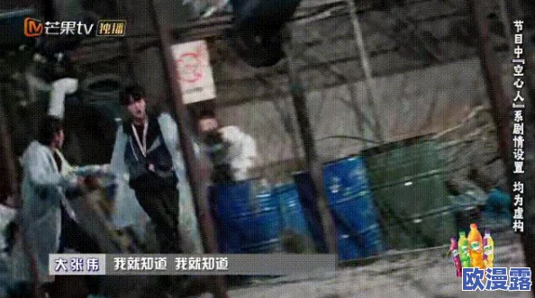 蜜桃www视频高清在线观看：最新动态与观众反馈，带你了解更多精彩内容与观看体验！