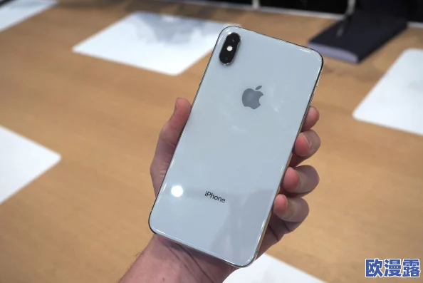 欧美iphone xs max性能评测：网友看法汇总，使用体验与实际表现的真实反馈分析