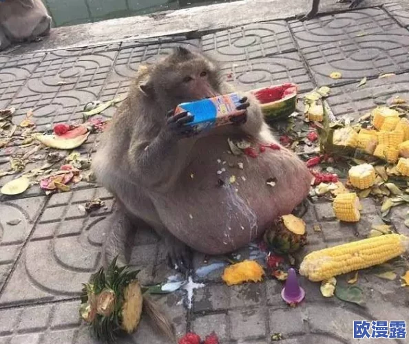 两人生猴子全程不盖被子,揭示了人类与动物之间的亲密关系及其对情感交流的影响研究 两人生猴子全程不盖被子,揭示了人类与动物之间的亲密关系及其对情感交流的影响研究