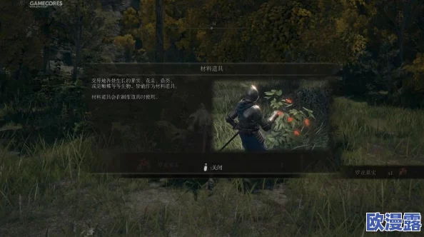 比较评测:巫师系列与艾尔登法环,哪款游戏更胜一筹? 比较评测:巫师系列与艾尔登法环,哪款游戏更胜一筹?