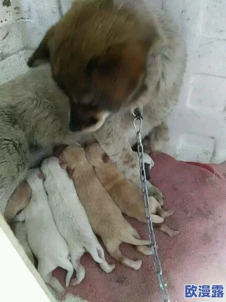 小女孩吃小男孩小叮当游戏引发热议,网友纷纷表示这款游戏的创意和玩法都很有趣,但也有人担心其内容是否适合儿童 小女孩吃小男孩小叮当游戏引发热议,网友纷纷表示这款游戏的创意和玩法都很有趣,但也有人担心其内容是否适合儿童