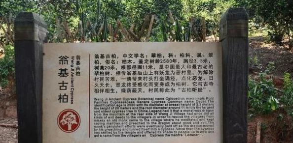 《桃源深处有人家》百闻馆玩法全攻略:从新手入门到高手精通的详尽指南 《桃源深处有人家》百闻馆玩法全攻略:从新手入门到高手精通的详尽指南