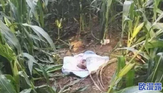 别捏我奶头,科学家发现这种行为竟会导致生理和心理双重影响,专家建议公众提高警觉! 别捏我奶头,科学家发现这种行为竟会导致生理和心理双重影响,专家建议公众提高警觉!