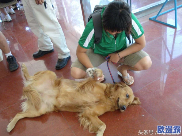 狗儿长大了3—15集：意外发现狗狗身上的神秘超能力震惊全城，引发宠物爱好者热议！