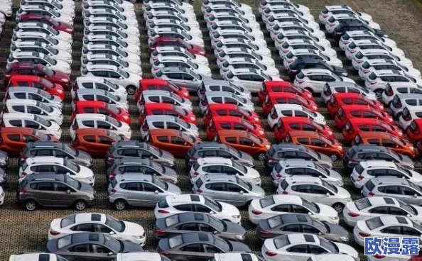 2024年不良免费进入窗口引发热议，网友纷纷表示期待政策能真正惠及大众，改善生活质量与社会环境