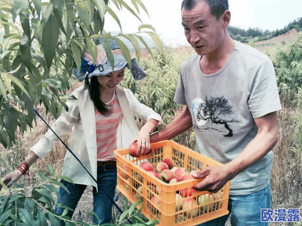水蜜桃一区二区:新一季水蜜桃丰收在即,农民们忙碌采摘,市场需求持续攀升 水蜜桃一区二区:新一季水蜜桃丰收在即,农民们忙碌采摘,市场需求持续攀升