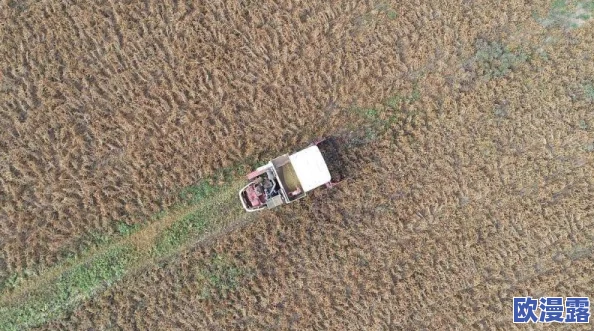 《三角洲行动》深度解析：航天基地核心资源点全面介绍