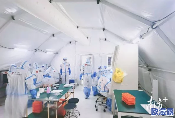 68日本XXXXXXXX79：最新进展揭示了该事件背后的深层次原因与影响，值得关注的动态不断涌现