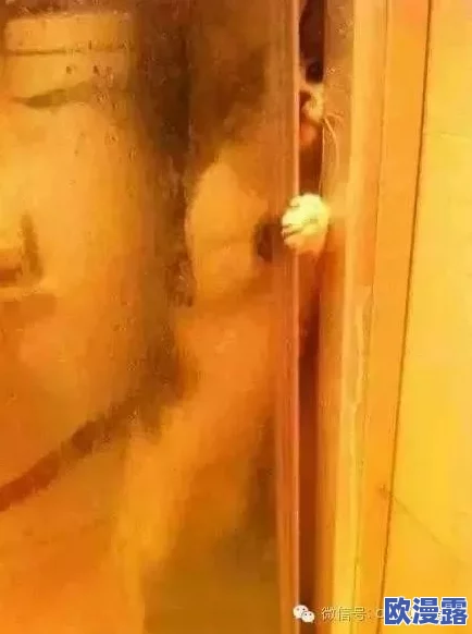 粉嫩沟厕零距离拍大神！震惊全网的神秘拍摄背后竟隐藏着不为人知的秘密和心痛故事！